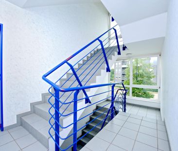 2-Zimmer-Wohnung in Bochum Wattenscheid / Wohnberechtigungsschein (... - Foto 5