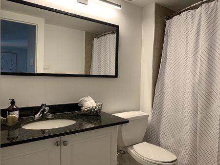 435 Albert St., Centretown, Ottawa, ON - Photo 4