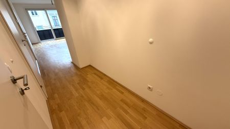 Kopernikusgasse! Haus des Meeres! Top-moderne 2-Zimmer-Neubauwohnung - Photo 5