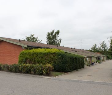 Svalevej 2-12 - Terndrup - Photo 4