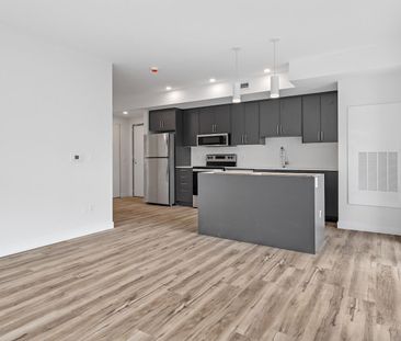 177 Armstrong Street, Hintonburg - Mechanicsville, Ottawa, ON - Photo 6