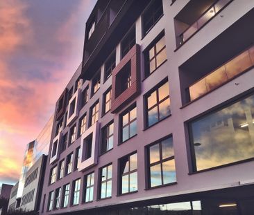 FOR STUDENTS ONLY! Studio for rent in THE LINK - Photo 4