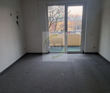 Ab ins neue Zuhause - Photo 5