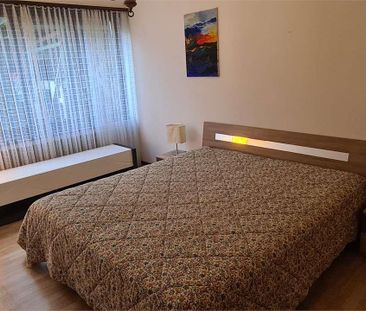 COLLINA D'ORO: GRANDE 2.5 LOC. ARREDATO CON GIARDINO - Photo 4