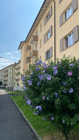 8952 Schlieren - Photo 2