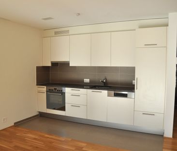 2.5 Zimmer, 72 m², EG - Foto 1