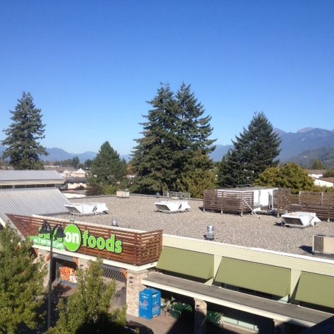 CAROLINE APTS - 310 - CA310 - Photo 1