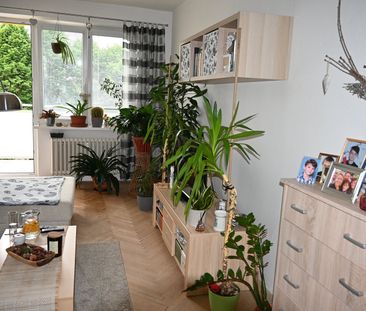 Pronájem bytu 3+1 74 m² - Photo 1