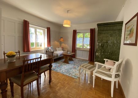 3-ROOM APARTMENT IN RICKENBACH SULZ (ZH), FURNISHED, TEMPORARY - Photo 2