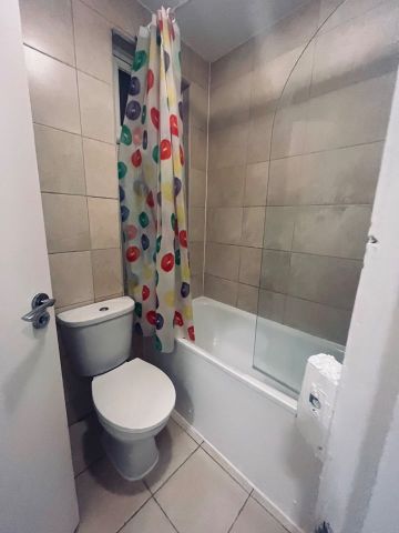 3 Bed Flat, Wandsworth Bridge Road, SW6 - Photo 3