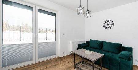 Kraków, Dębniki, Rydlówka Mieszkanie na wynajem - Photo 3