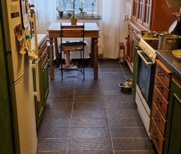 Doktor Forselius Backe, Göteborg - Foto 1