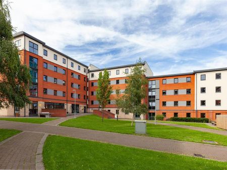 1 bedroom in a flat share to rent - Photo 4