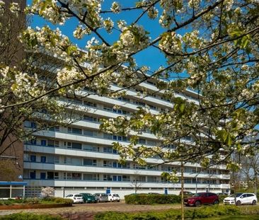 Apartment Amstelveen - Lindenhof - Foto 2