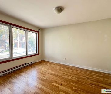 8060, Rue Saint-Dominique, Le Plateau-Mont-Royal à louer - Photo 1