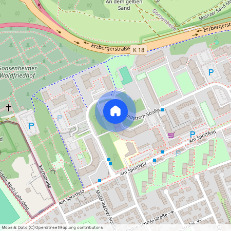Elsa-Bränd-Strömstraße 4, 55124 Mainz