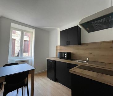 Location Appartement 1 pièce 24m² AUBENAS 07200 - Photo 3