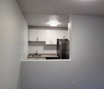 DO NOT PAY TILL MAR - 1 bed + den near Lougheed with walk out area - Photo 3