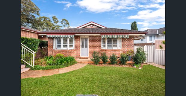 Light Filled Stylish Single Level Family Home - Photo 1