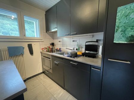 Villa for rent – Arvillard - Photo 5