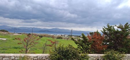 Διαμέρισμα για ενοικίαση Αμπελάς (Πάρος) - Φωτογραφία 5