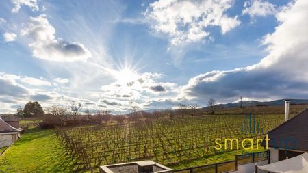 Maison traditionnelle à louer, 4 pièces - Ribeauvillé 68150 - Photo 5