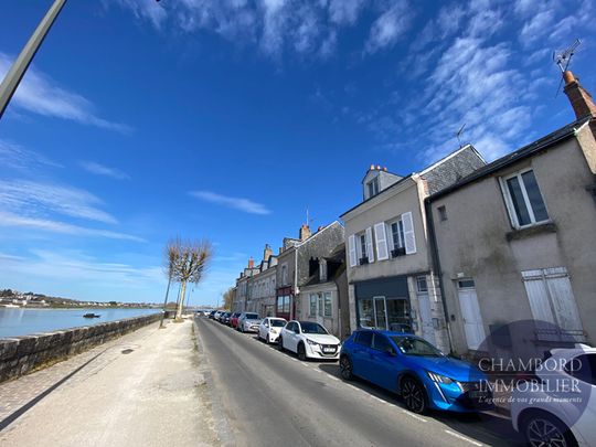 BLOIS - Centre-ville quartier Vienne - T1 BIS - Photo 1