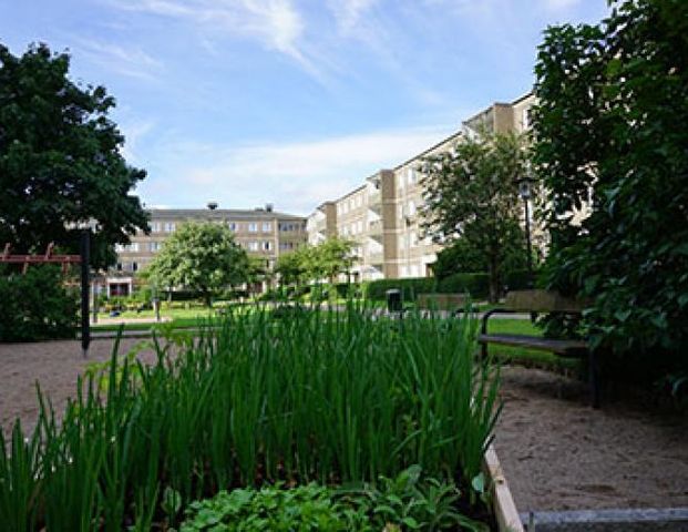 Katjas Gata 121 - Photo 1