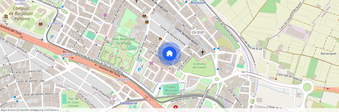 Carrer de Cristóbal Sorní, Burjassot, Valencian Community 46100