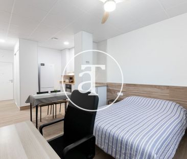 Monthly rental Studio with 1 bedroom, 1 bathroom in Latina - Photo 5