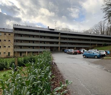 2 værelses lejlighed på 69m2 - Photo 1