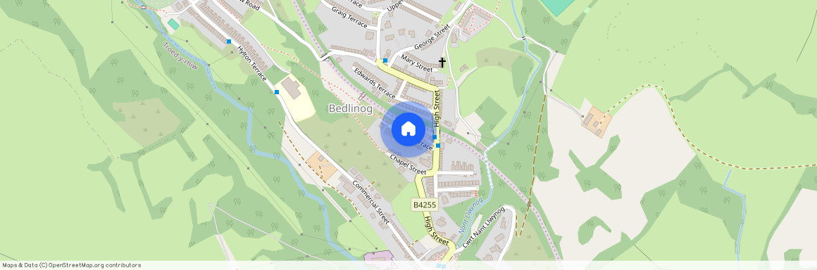 Station Terrace, Bedlinog, CF46