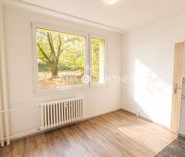 Pronájem bytu 3+1 60 m² - Fotografie 6