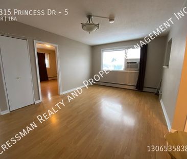 1 bed, 1 bath apartment unit - Photo 4