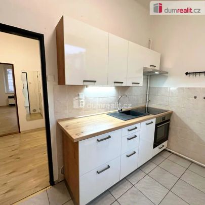 1+1 Lipová ulice, Děčín - Photo 1