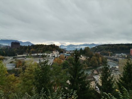 Vermietung nach Teilsanierung - Wohnen an ruhiger Lage in der Nähe der Stadt Luzern - Photo 4