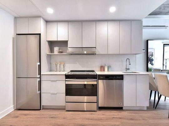 1211 Berri Street, Montréal, QC - Photo 1