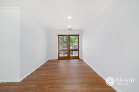 19 Scott Street, Narrabundah ACT 2604 - House For Rent | Domain - Photo 4