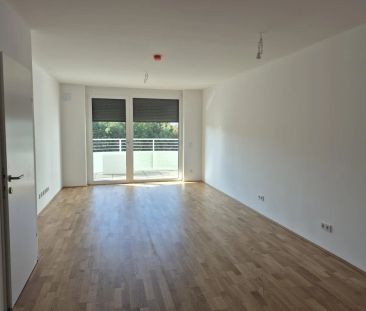 Außergewöhnliche Starter-Wohnung - Photo 2