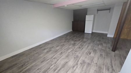 For Lease - 38 Copping Road Unit# Bsmt, Toronto, Ontario - Photo 3