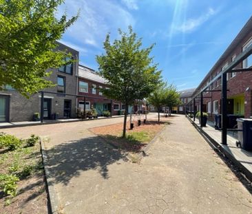 James Cookroute 183 - Foto 4