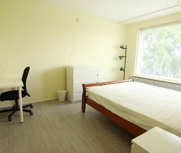 De Lairesselaan - Photo 3