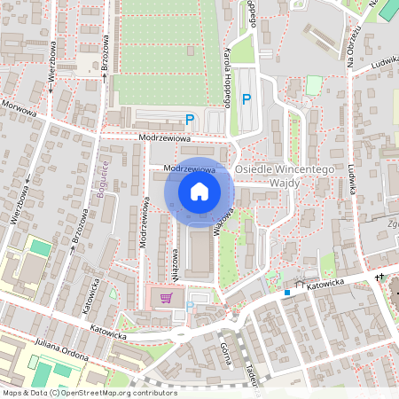 ul. Modrzewiowa, Bogucice, Katowice, śląskie