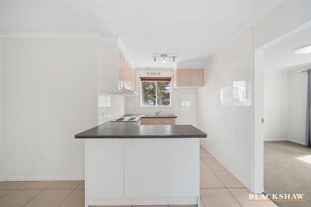 2/17 Campbell Street, Queanbeyan NSW 2620 - Apartment For Rent | Domain - Photo 5