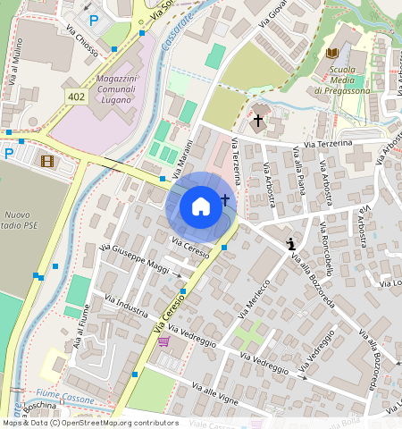 Via alla Bozzoreda **, 6963, Pregassona