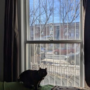 Reprise De Bail Juin 2026 - Photo 3