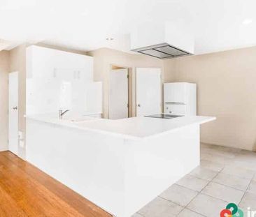 Sunny on Springfield - Photo 3