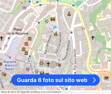 STUDIO IN LAUSANNE – CITY CENTER, FURNISHED, TEMPORARY RENTAL - Foto 1