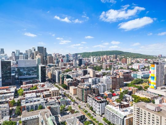 Appartement à louer - Montréal (Ville-Marie) (Village) - Photo 1