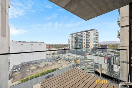 804/248 Flinders Street, Adelaide SA 5000 - House For Rent - $700 | Domain - Photo 3